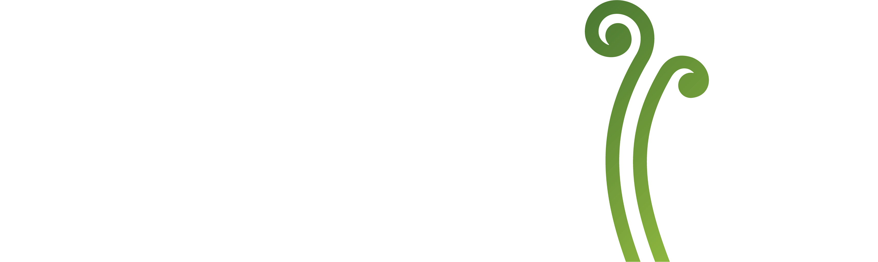 Hollyford Wilderness Experience