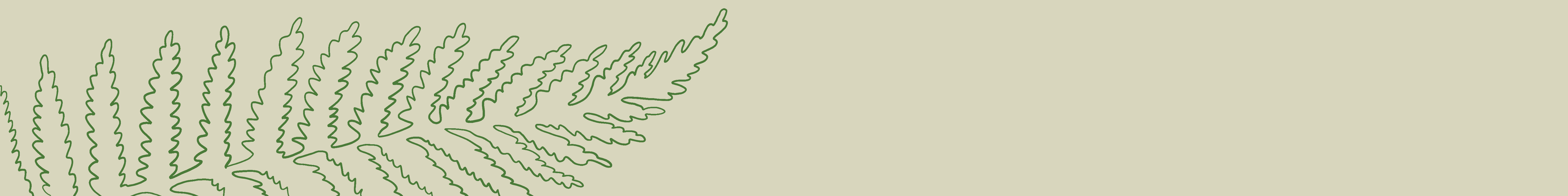 HWE Illustration Fern