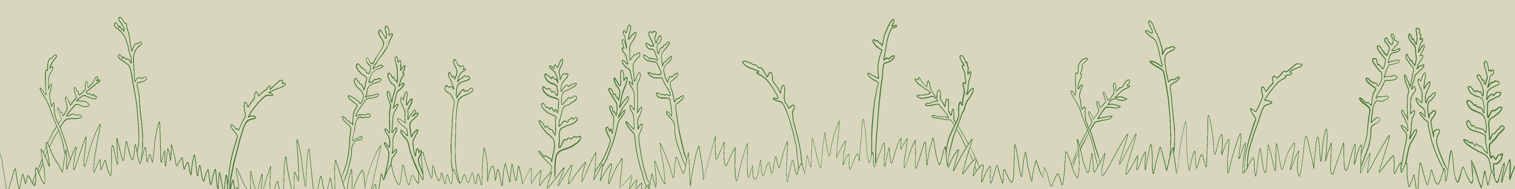 HWE Illustration Flax