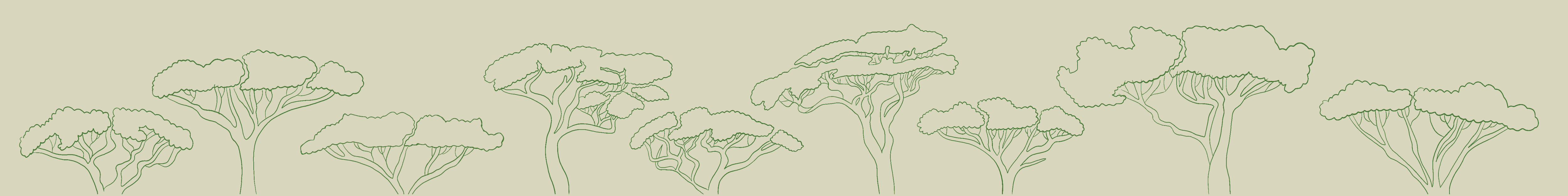 HWE Illustration Trees