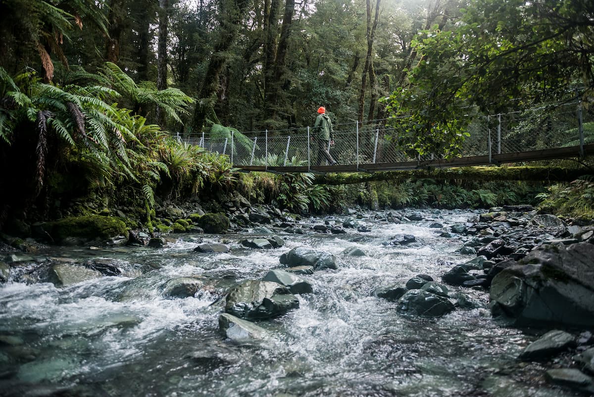 Swing bridge with person river with native bush