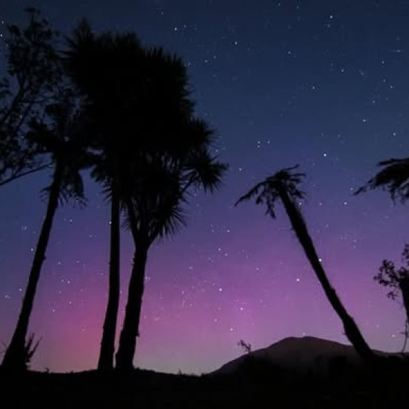 578266398 1240543284772397 1812616331833011832 n