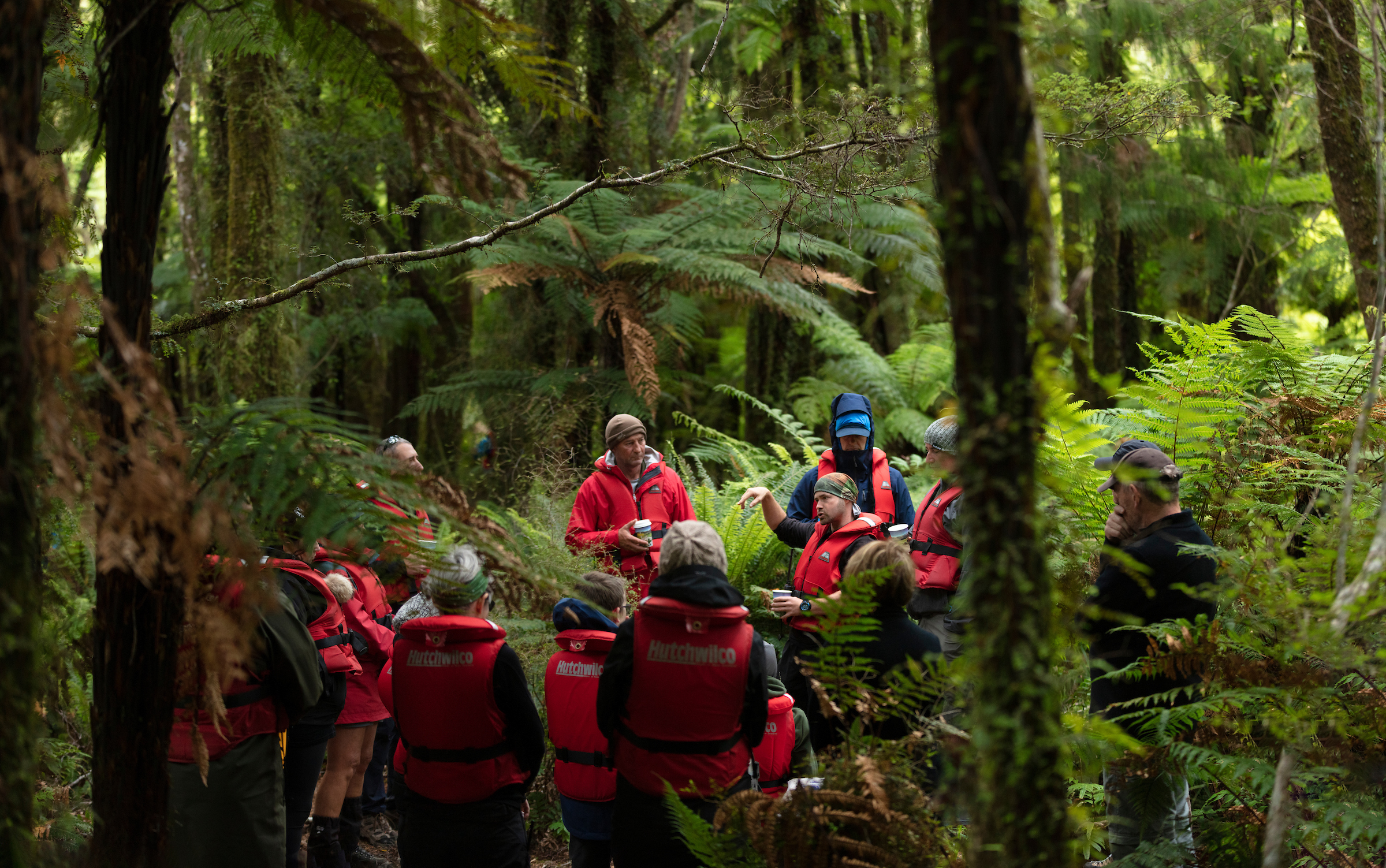 Hollyford jamestown guide talking