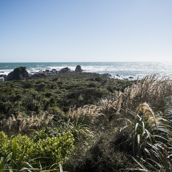 Looking out over Long Reef