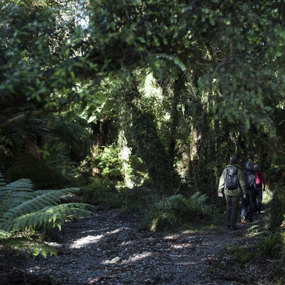 people disappearing down trail into bush