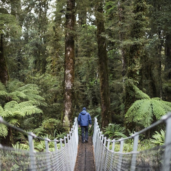 Looking across a swing bridge into native bush