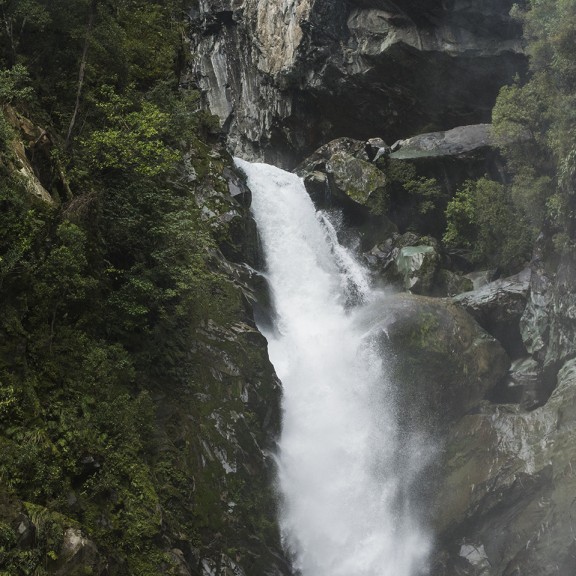 Fast flowing waterfall with rocks and fauna