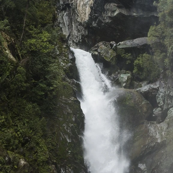 Fast flowing waterfall with rocks and fauna