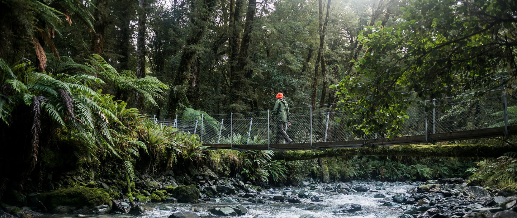 Swing bridge with person river with native bush