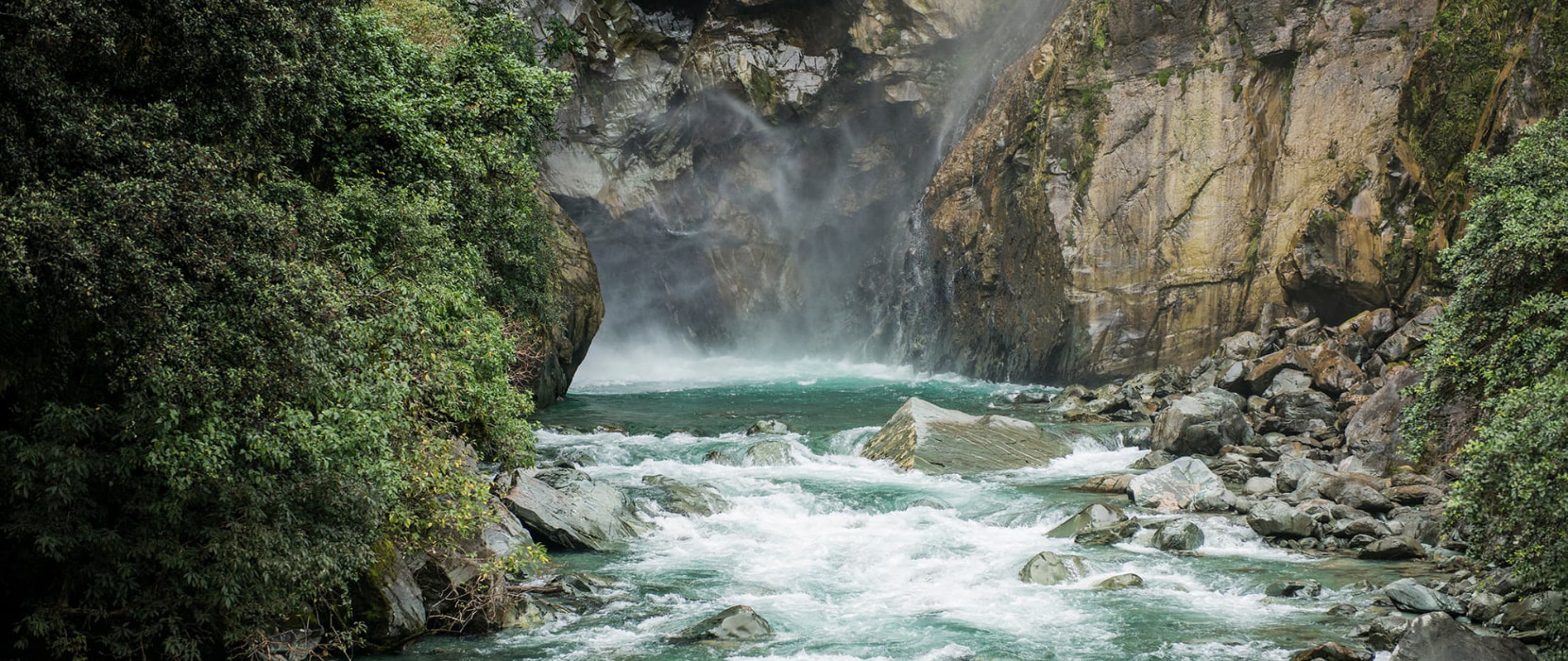 Pristine river with rapids in Hollyford