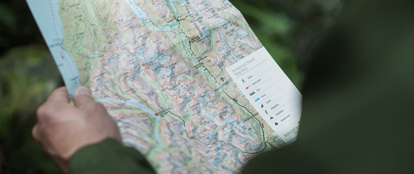 Person holding hollyford map