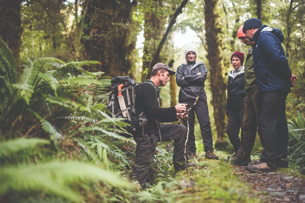 Guide shares knowledge with group in forest