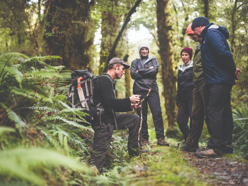 Guide shares knowledge with group in forest
