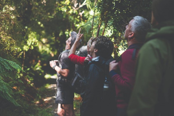 Tramping group looking up to the forest canopy