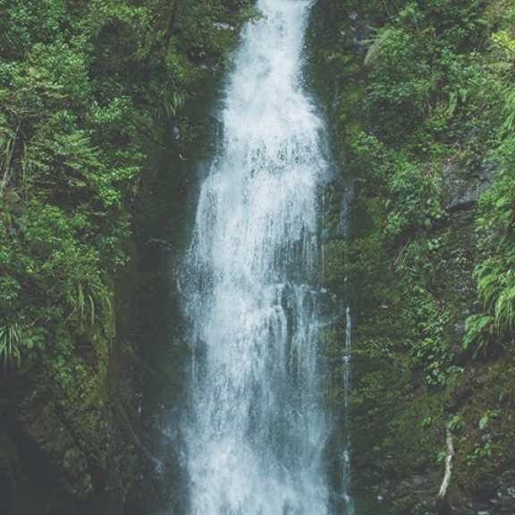 portrait view of waterfall in native bush