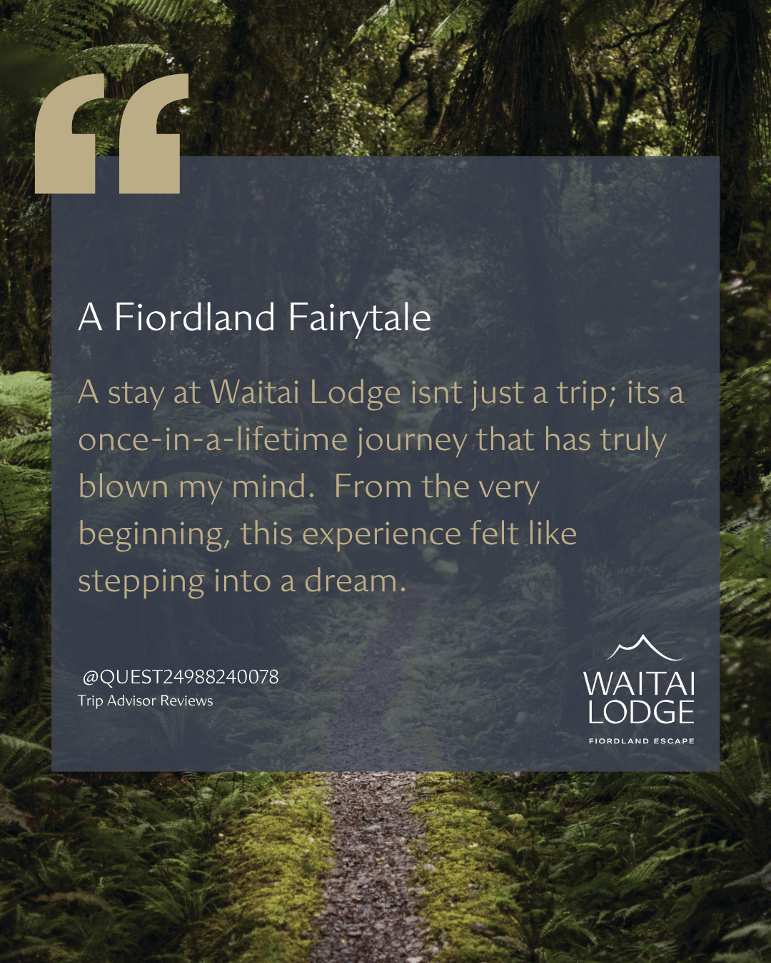 Fiordland Fairytale Review
