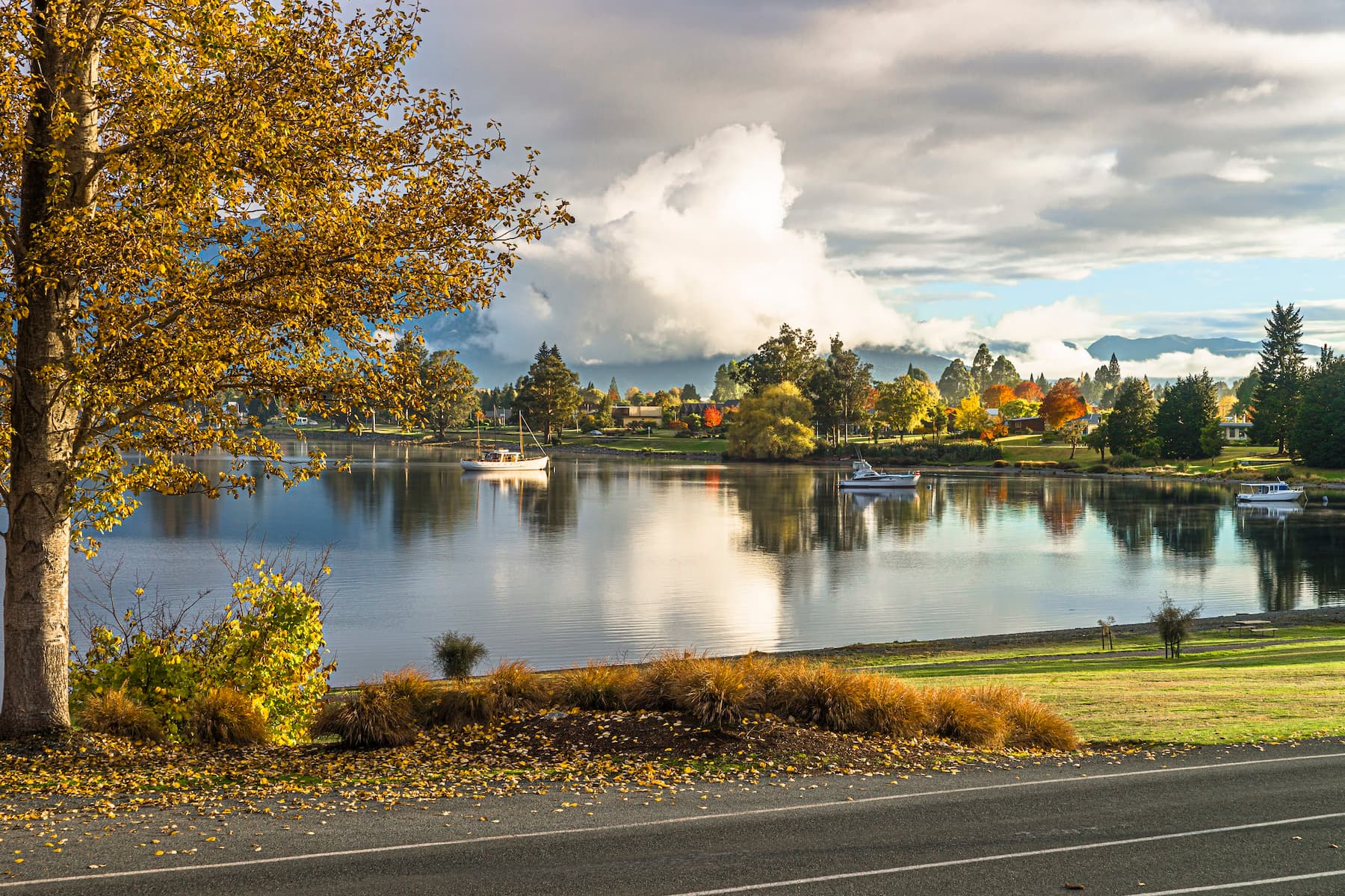 te anau view of lake in autumn