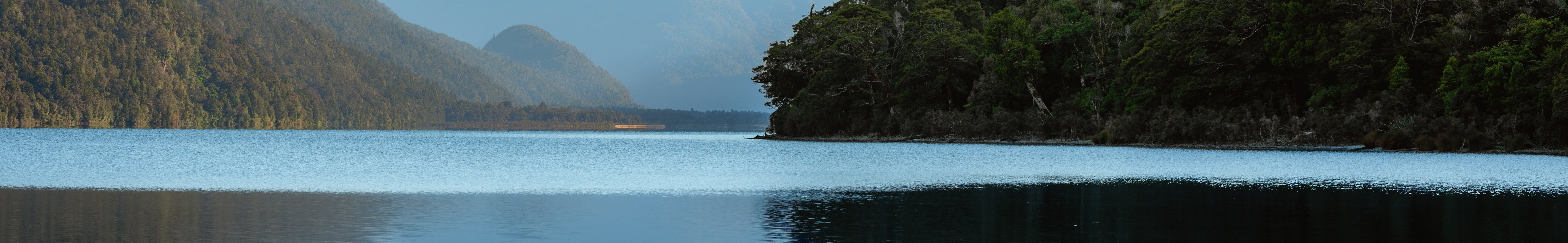 Waitai Lodge Web Banner