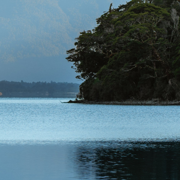 Waitai Lodge Web Banner
